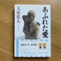 Item thumbnail for item 8c10e7b3-4c58-45b0-8a6c-2603917cec92