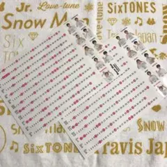 SnowMan ジャニーズ公式カレンダー 2020 シールのみ 目黒蓮 渡辺翔太