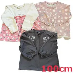 アンパンマン　キッズ トレーナーセット 100cm しまむら