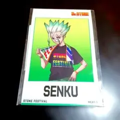 Dr.STONE 石の宴 ミニフォト風ステッカー／石神千空
