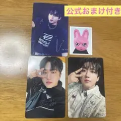 Stray Kids toy world チャンビン トレカ タワレコ特典