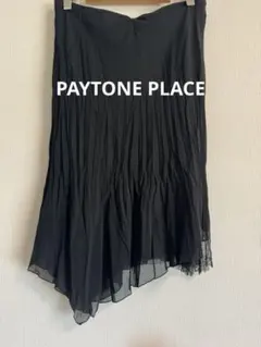 PAYTONE PLACE ペイトンプレイス レース ブラックシアースカートのサムネイル