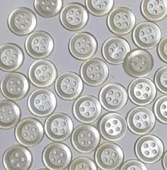 4つ穴　シャツボタン　10㍉ Ａ5