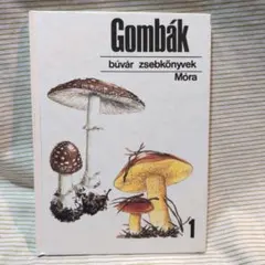 Item thumbnail for item 3363487d-00b5-4401-929f-279333c4fd57