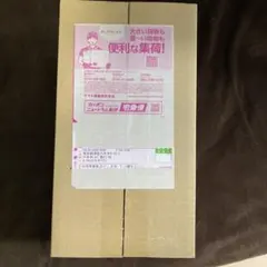 未開封 ポケモンセンターフクオカ スペシャルBOX