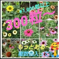 島ねこ様 リクエスト 3点 まとめ商品