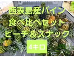 お得甘い樹実り完熟スナックパイン❣️生産量日本一の東村の