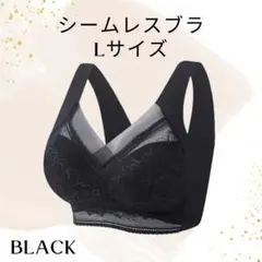 Item thumbnail for item 4dcf65e9-c145-4fc7-ad62-486a4d43e218