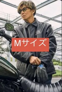 Item thumbnail for item 313e07dc-a62e-4668-8575-900ef2455139