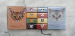 カルディ　キャット　メモパット　チョコレートのサムネイル