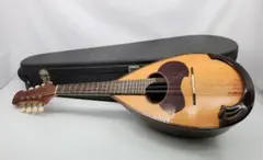 2025年最新】落合マンドリンの人気アイテム - メルカリ