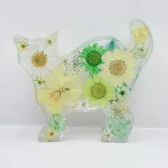 猫ちゃん^ ̳ᴗ ̫ ᴗ ̳^固まるハーバリウム　オブジェ