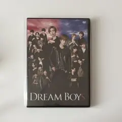 드림 보이즈 DVD 드리보