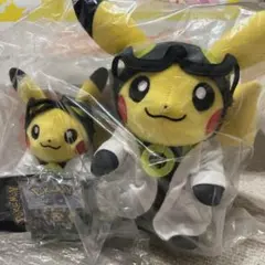 ❤新品・紙タグ付き❤ モルペコ ぬいぐるみ 2個セット ポケモン
