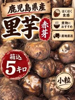 令和8年宮崎産赤芽里芋4kg以上-14 - メルカリ