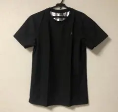 Item thumbnail for item 2f9c86d5-dc75-409a-8547-1fbd9ba879e0