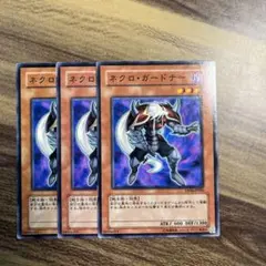 遊戯王 ネクロガードナー 英語版 ノーマル BP02 - メルカリ