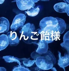 りんご飴様専用【9月2日まで最終お取り置き】