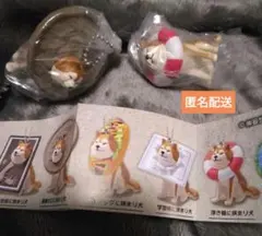 Item thumbnail for item 6551654e-fd81-4f39-963c-ffe6e5097e52