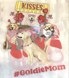 Item thumbnail for item ca5a85f2-c959-46c7-b365-0efbed628452