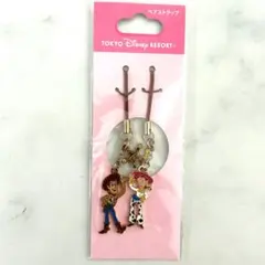 未使用品　東京ディズニーリゾート トイストーリー ペアストラップ