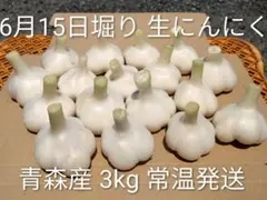 '26年産 低農薬 生にんにく 5kg 福地ホワイト6片 サイズ L~2L 26年産 低農薬 生にんにく 5kg 福地ホワイト6片 サイズ L~2L - メルカリ