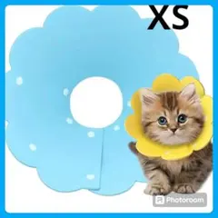 エリザベスカラー XS 猫用 犬用 ソフト 着脱便利 傷舐め防止 引っ掻き防止