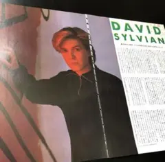 2026年最新】デヴィッド・シルヴィアンの人気アイテム - メルカリ