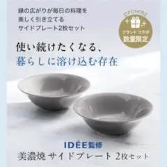 新品 未開封 アテニア IDÉE監修 美濃焼 サイドプレート 2枚セット イデーのサムネイル