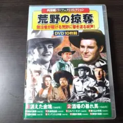 西部劇パーフェクトコレクション 荒野の掠奪 DVD10枚組