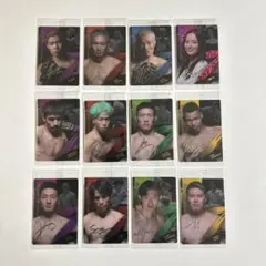 RIZINウエハース 12枚 カード