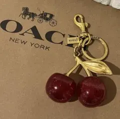 2026年最新】coach チャーム さくらんぼの人気アイテム - メルカリ