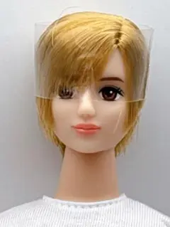 2025年最新】ジェニーちゃんボーイフレンドの人気アイテム