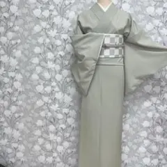 洗えるきもの 色無地 L 淡薄緑【HANAE MORI】