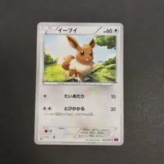 イーブイ C XY7 バンデットリング 063/081 2枚 - メルカリ