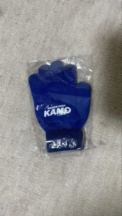 Item thumbnail for item 5efcb269-47c8-4586-82f7-85a52ed01b0d