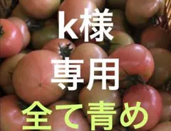 k様 専用 全て青めのサムネイル