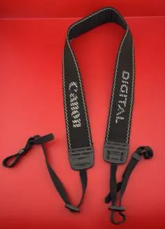 Item thumbnail for item 6ec0d626-3273-43bf-97c7-33c6a4b04601