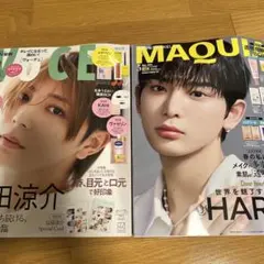 Item thumbnail for item 1d03ef03-eda3-40aa-a5ab-1c50d9c25b18