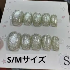 セツ】マグネット ネイルチップ 付け爪(A1649) - メルカリ