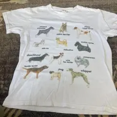 Fig. 15 ドッグプリント 半袖Tシャツ ホワイトのサムネイル
