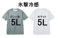 ワークマン 氷撃冷感 -10℃ 半袖Tシャツ 5L グレー杢 ホワイト 新品のサムネイル