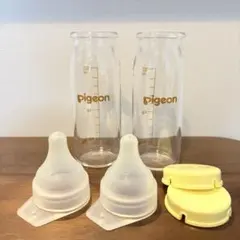 Pigeon 哺乳瓶 母乳実感100ml 2本セット 病産院用 耐熱ガラス製