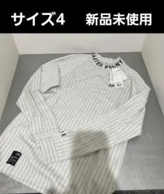 Item thumbnail for item 2a28dea5-14ac-4547-89fa-ef3c28938a3f