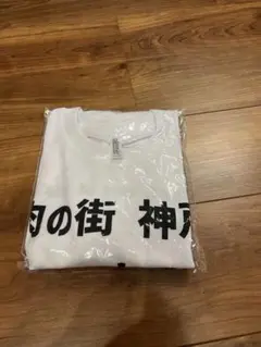 Item thumbnail for item 8ddc993f-18c3-4b0e-967d-9e4e32e1ea95