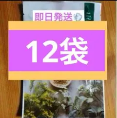 2026年最新】yosa ハーブの人気アイテム - メルカリ