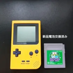 Item thumbnail for item 8809d365-3fe8-4bd7-9973-06739bdd1872