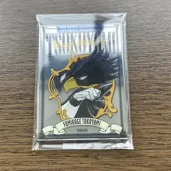 パブミラー風アクリルステッカーコレクション 常闇踏陰