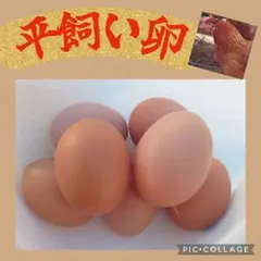 90個入　佐伯養鶏の朝採れ平飼い卵　大分県産 90個入り 佐伯養鶏の朝採れ平飼い卵 - メルカリ