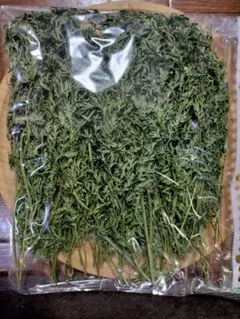 Item thumbnail for item e7ebc5e6-0db3-418d-a636-04f120e672e7